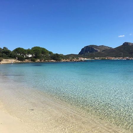 Tramontana Vista Mare 300M Dalla Spiaggia Golfo Aranci Luaran gambar